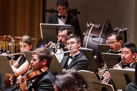 Members of an orchestra in black suits are playing their part during a performance