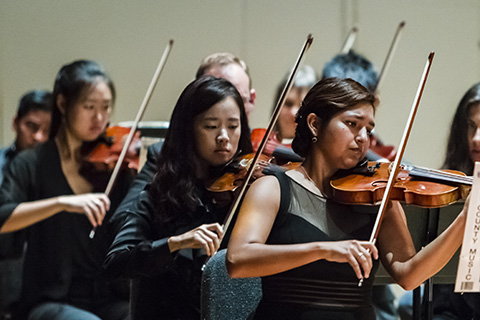 Violin players dressed in black performing