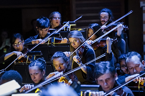 A group of violin players  perform during a live event